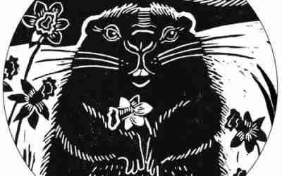 First article I have ever written for a paper!!