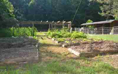 Mulch Freak! Manure Freak!