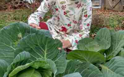 Episode 4: Grow Deep Roots